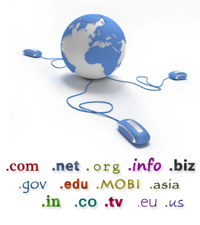 mlm-Software-in-india-haryana-karnal