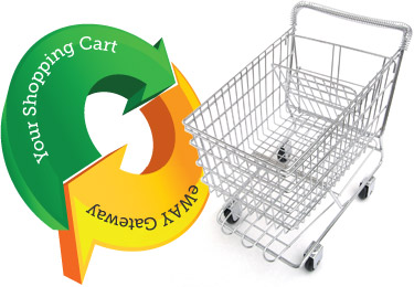 e commerce website desigining in india